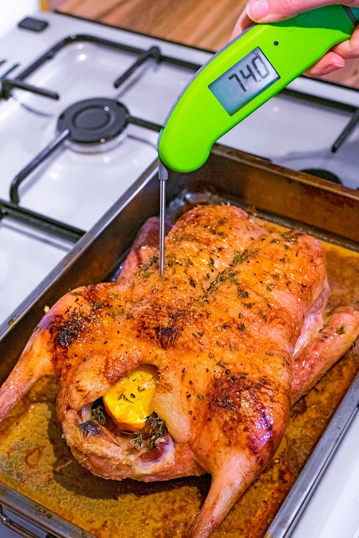 A whole cooked duck in a roasting pan with a meat thermometer showing 74 degrees.