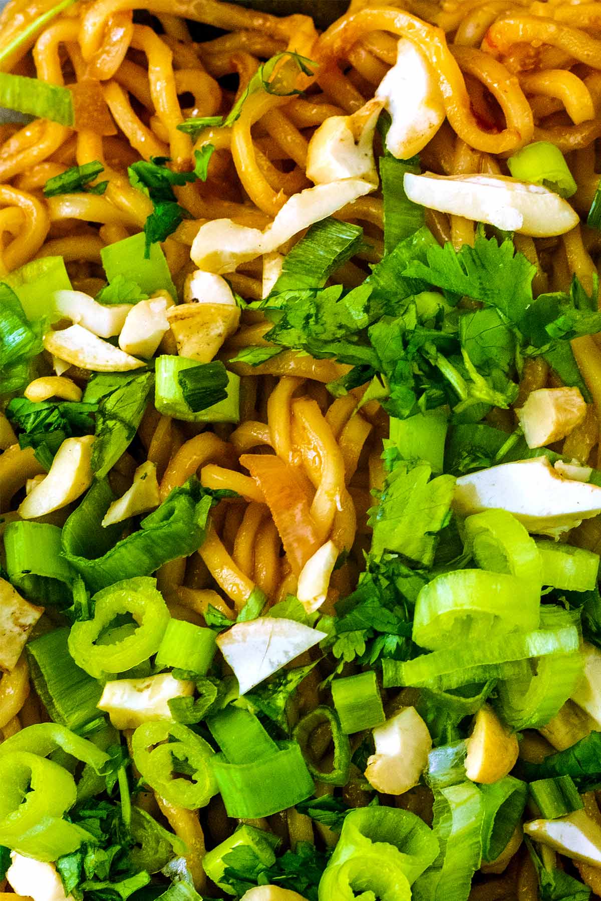 Slices spring onions and chopped cashews on top of some noodles.