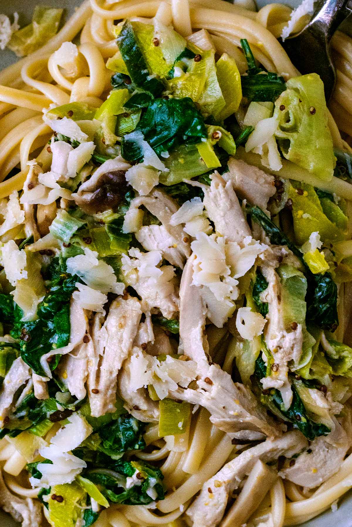 Leftover turkey mixed into pasta with leeks and spinach.