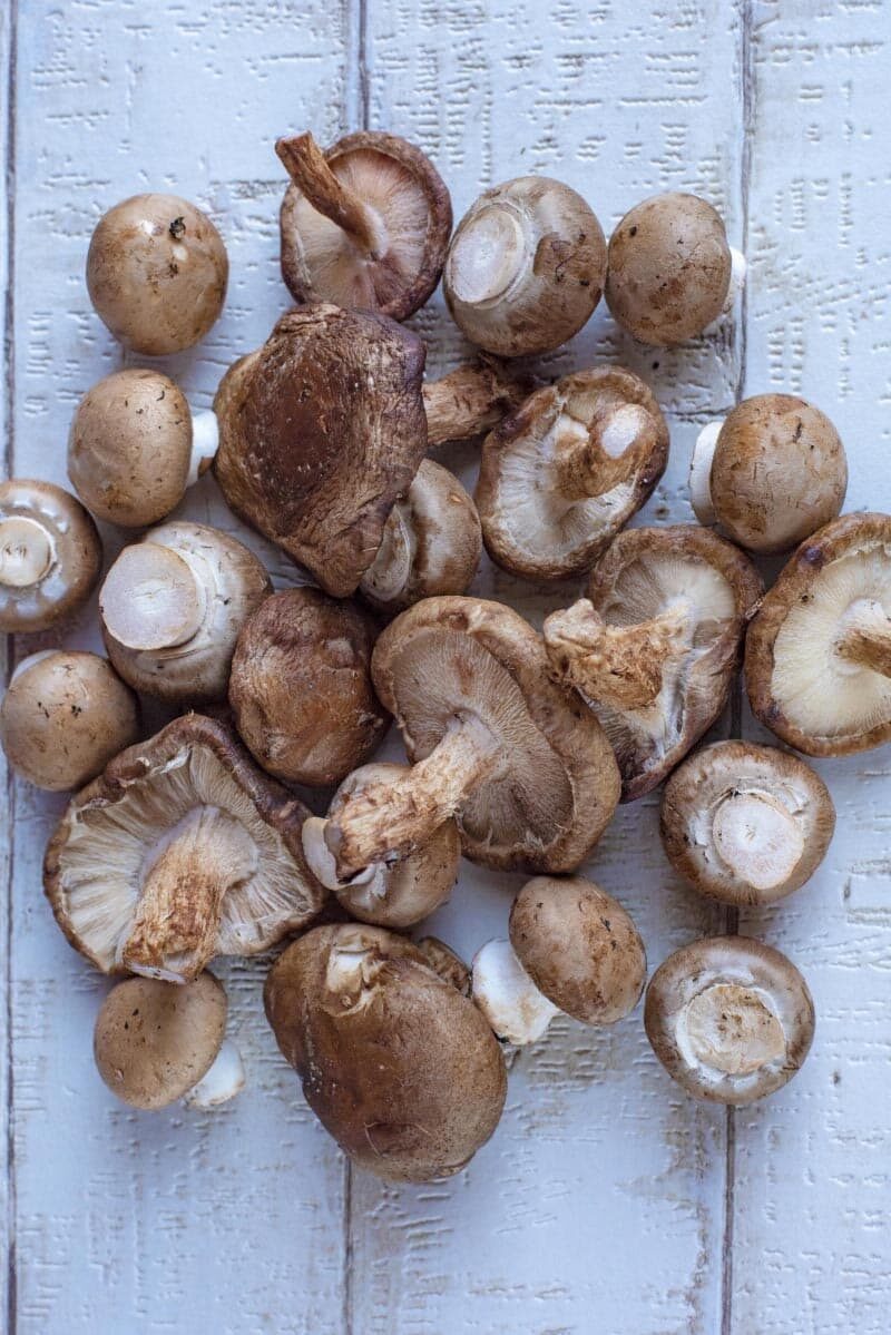 A selection of different mushrooms.