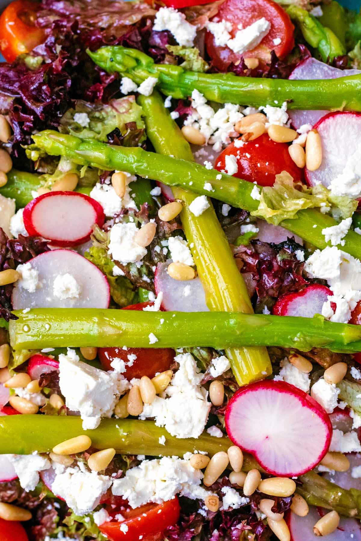 Asparagus spears laid over the top of salad, tomatoes and radishes.