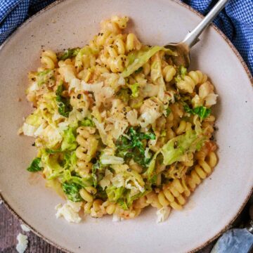 A bowl of cabbage pasta with a fork in it.