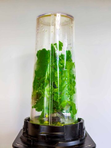 A tall blender with coriander leaves in it.