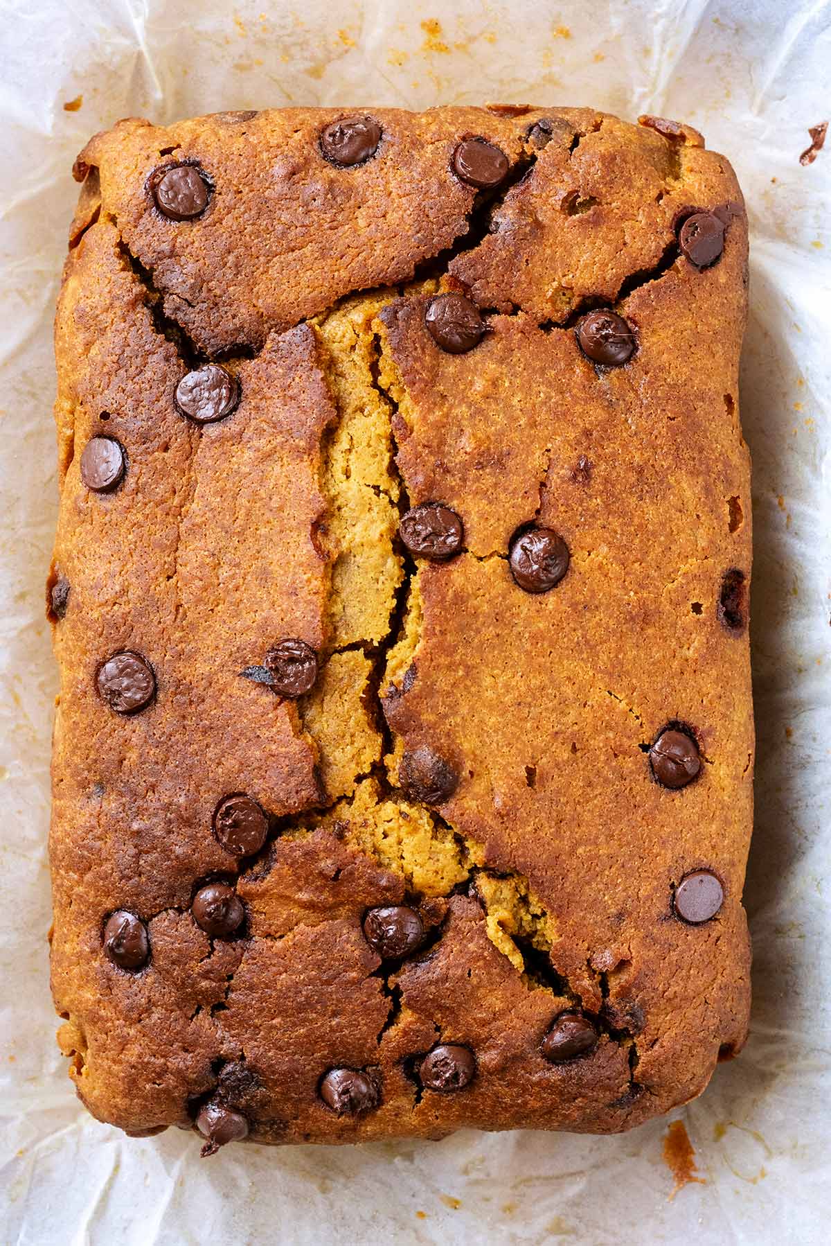 A whole cooked pumpkin loaf cake topped with chocolate chips.