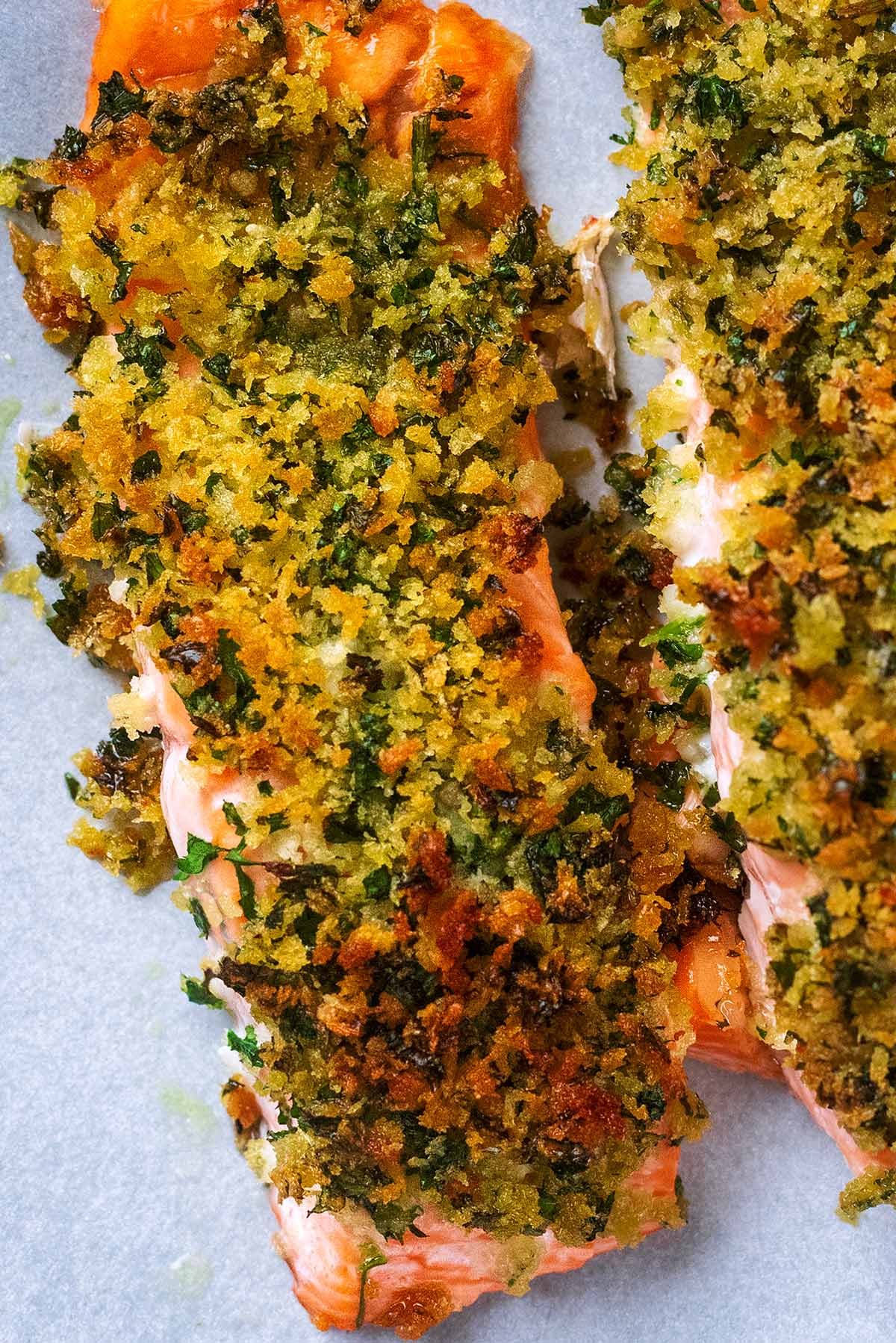 Cooked breadcrumb crust on top of a cooked salmon fillet.
