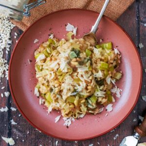 Leek risotto in a round pink bowl with a fork.