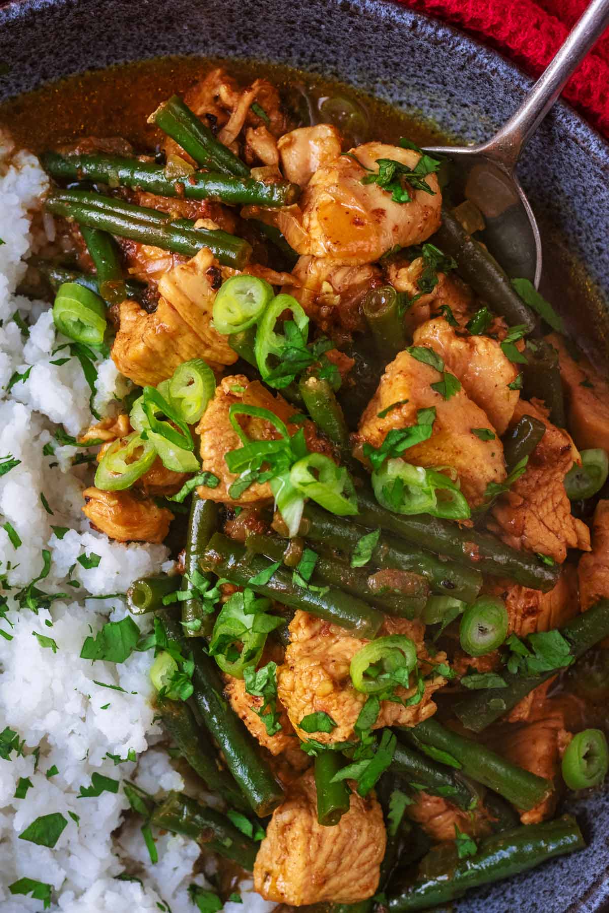 Chicken and green beans in a Chinese curry sauce.