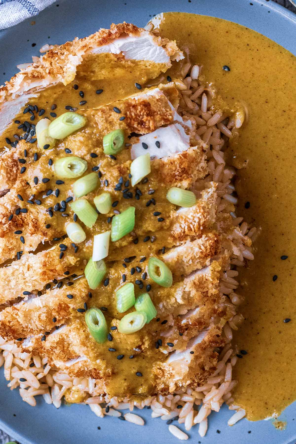 Sliced breaded chicken in a katsu sauce topped with sliced spring onions.