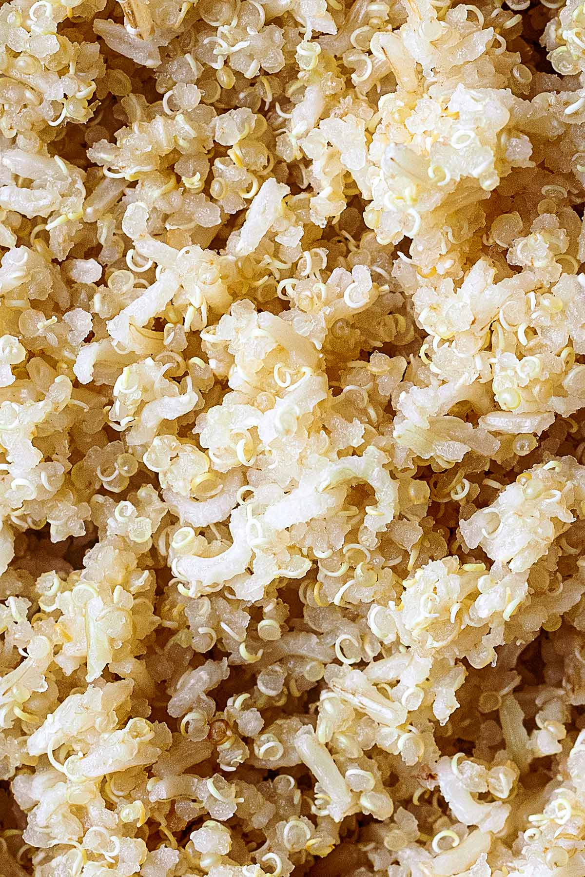 Grains of cooked quinoa and rice.