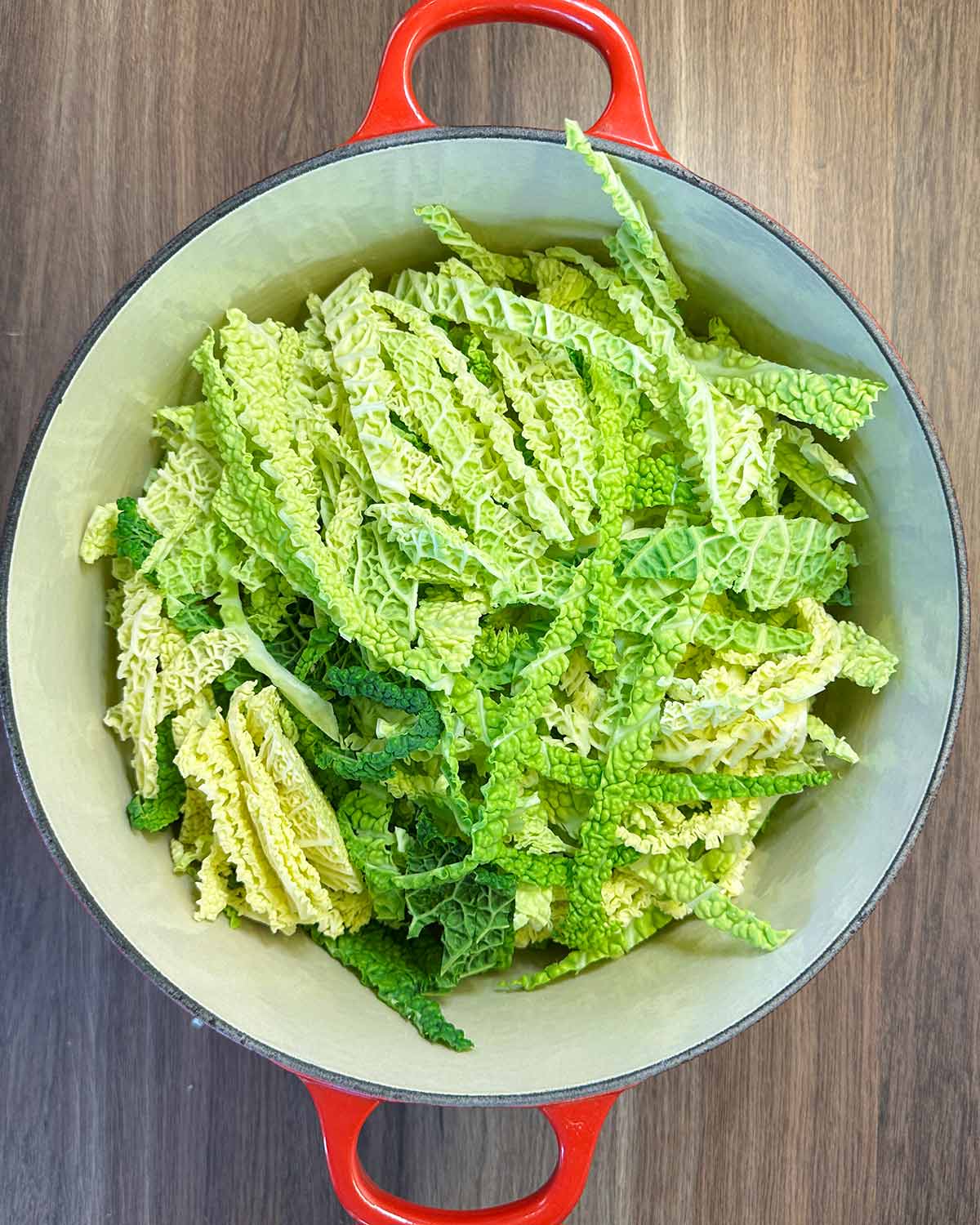 Shredded cabbage in a big red cooking pot.