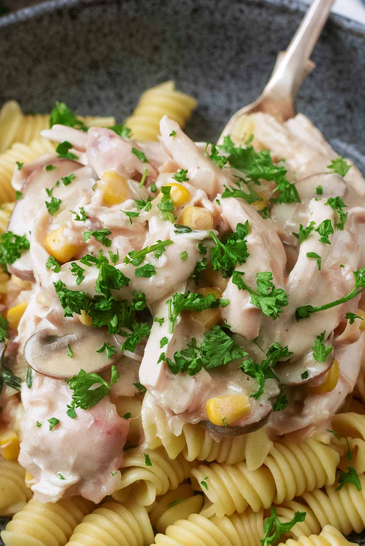 Cooked fricassee on top of spiral shaped pasta.