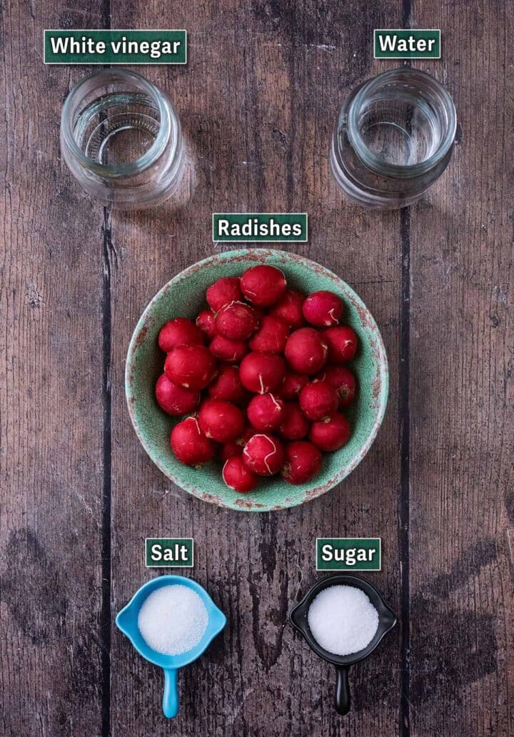 Quick Pickled Radishes - Hungry Healthy Happy