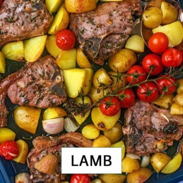 Lamb
