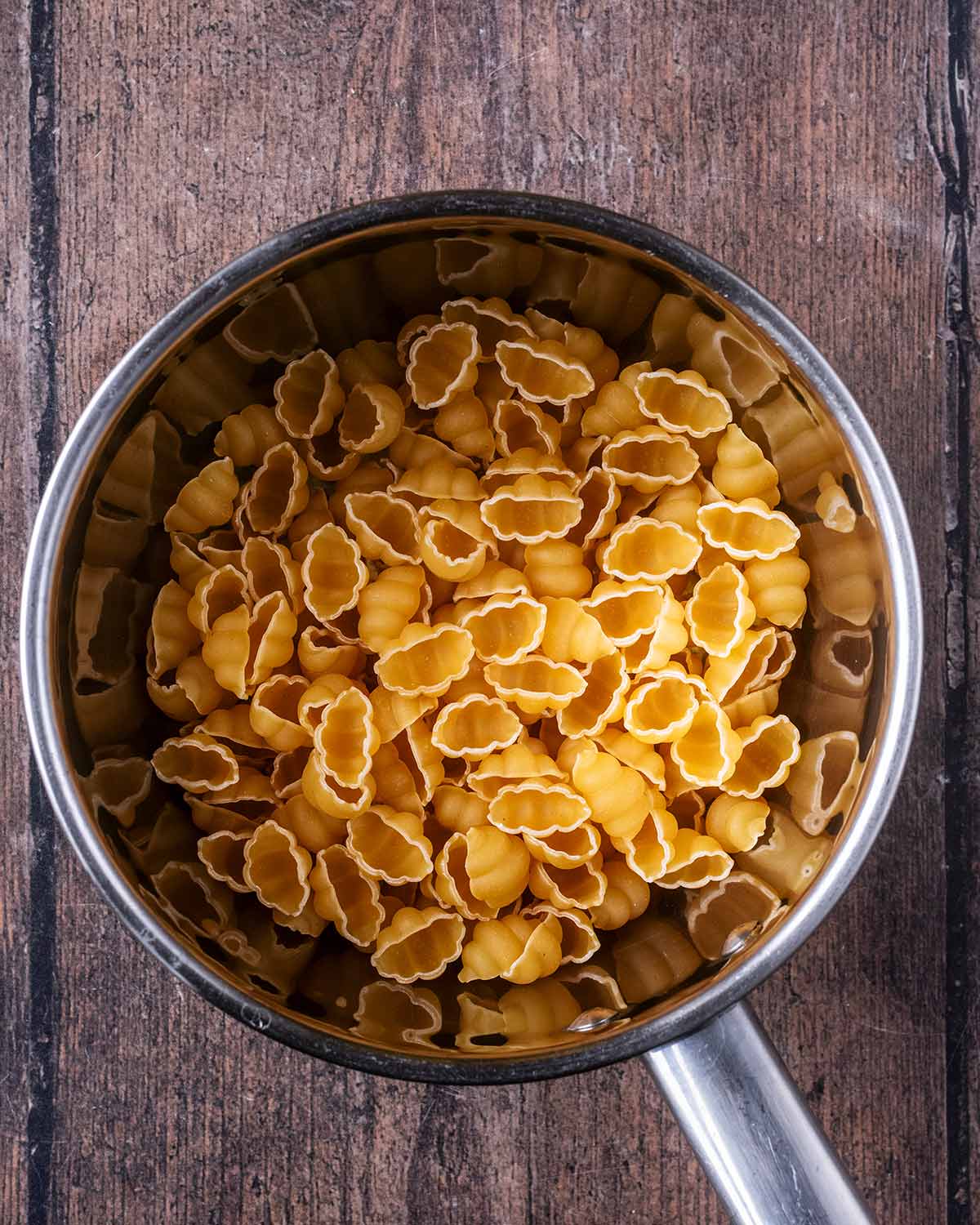Pasta shells in a saucepan.