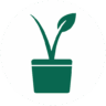 A circular icon with a V shaped plant in a pot.