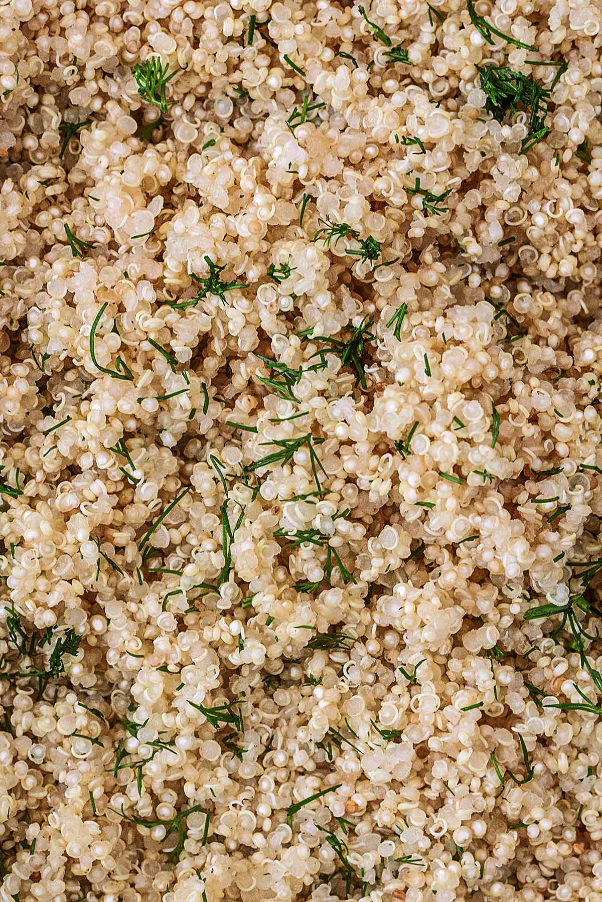 Grains of cooked quinoa mixed with chopped dill.