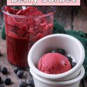 Ninja creami berry sorbet with a text overlay title.