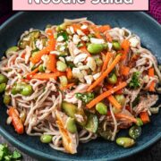 Cold noodle salad with a text overlay title.