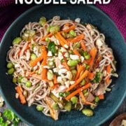 Cold noodle salad with a text overlay title.