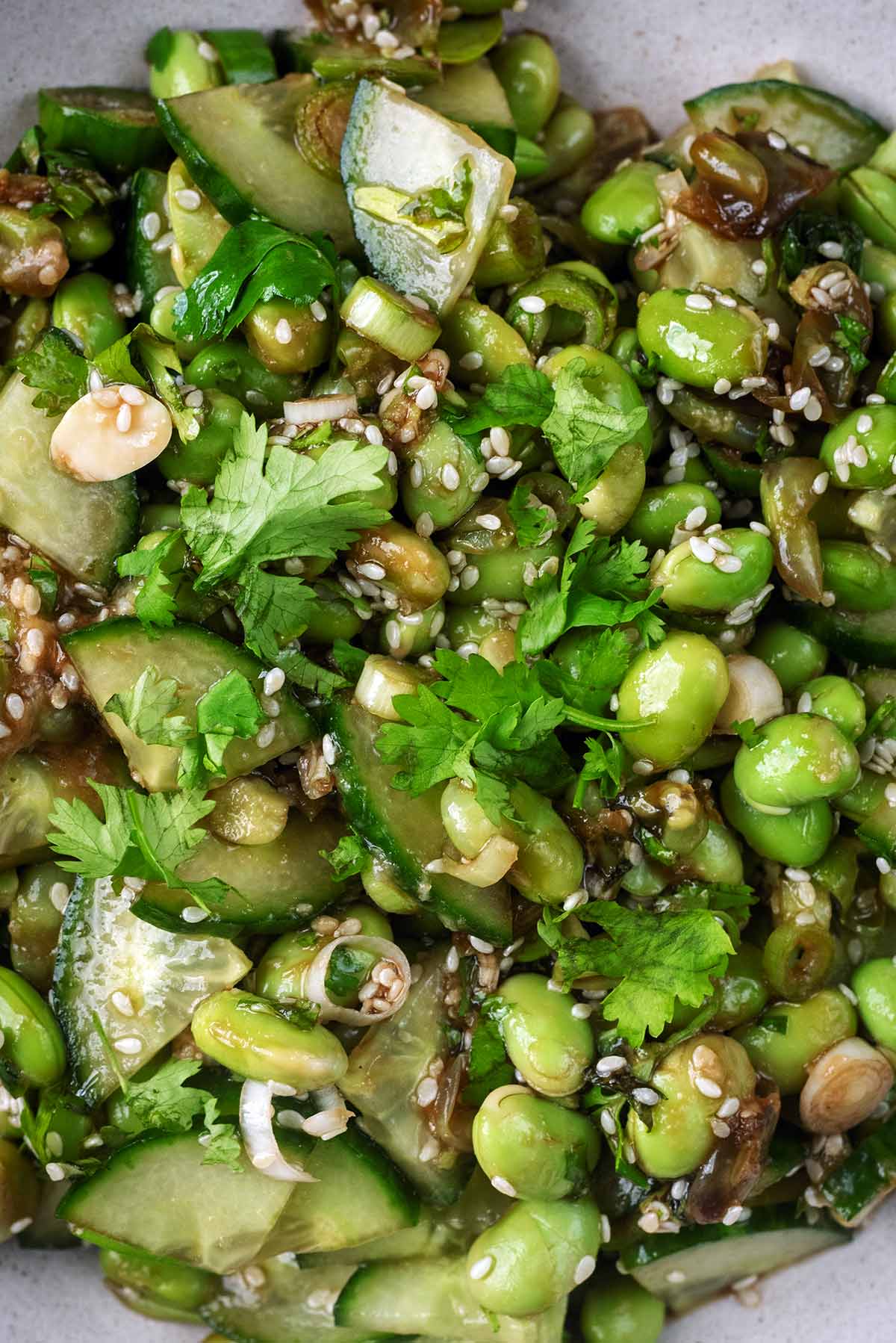 Edamame beans and sliced cucumbers dressed in a sesame and oil dressing with chopped coriander leaves on top.