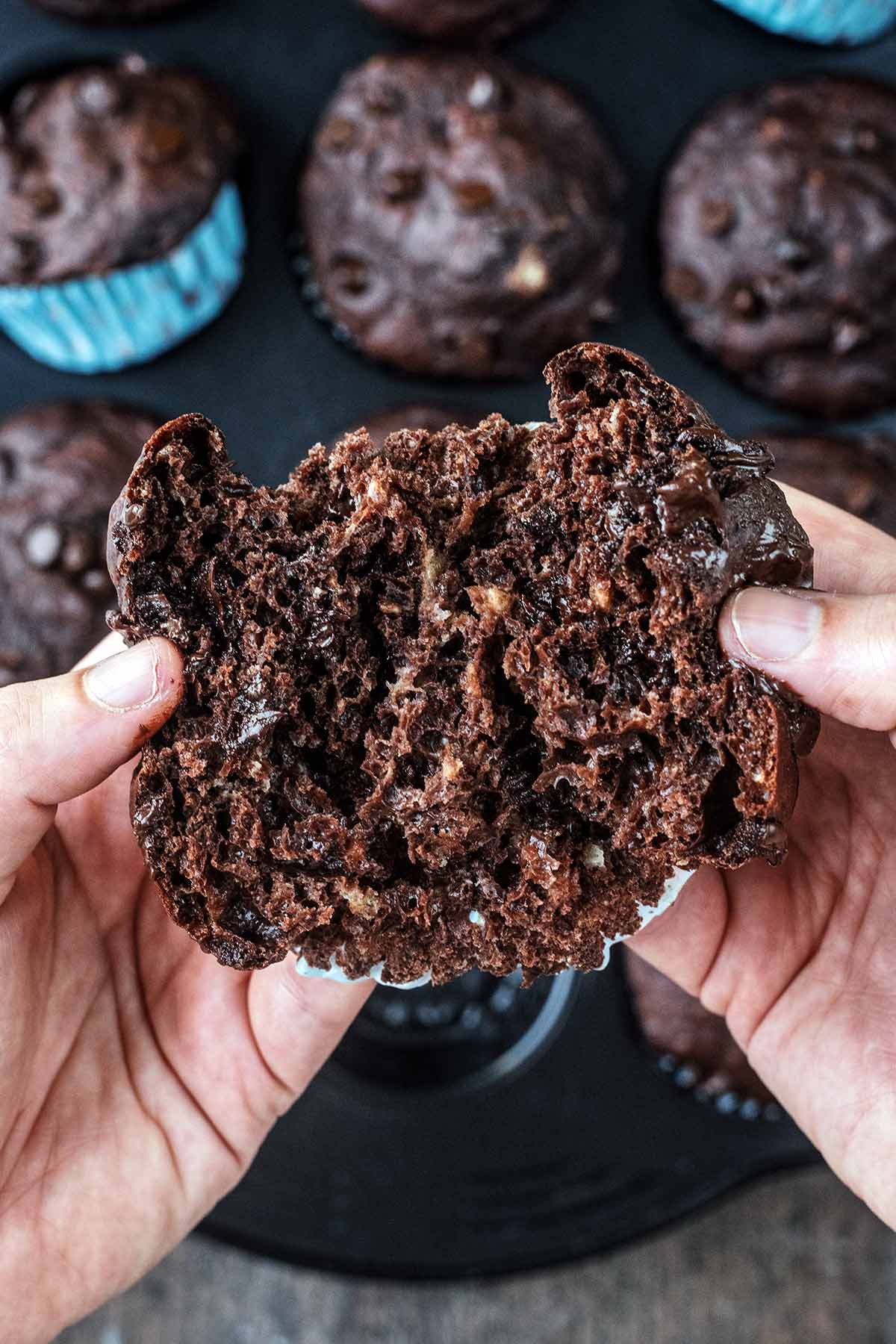 Hands pulling apart a chocolate muffin to reveal the fluffy inner.
