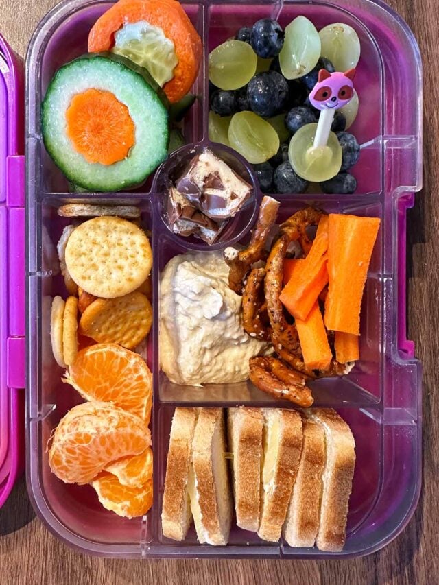 A compartment lunchbox containing sliced carrot and cucumbers, satsuma segments, grapes, blueberries, carrot sticks, hummus, mini pretzels and a cheese sandwich.