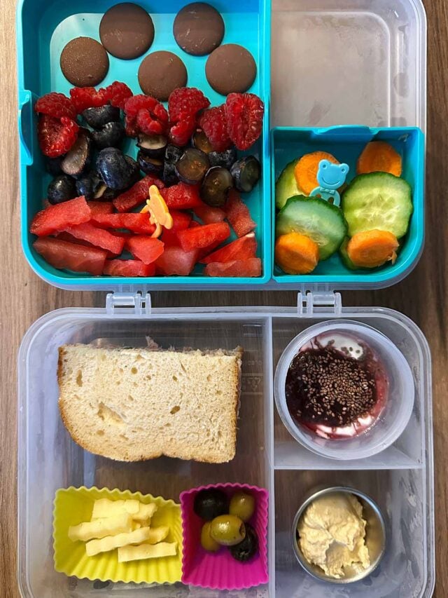 A compartment lunchbox containing a sandwich, berries, chocolate buttons, sliced carrot and cucumber, a pot of compote topped yogurt, a pot of hummus, a pot of cheese and a pot of olives.