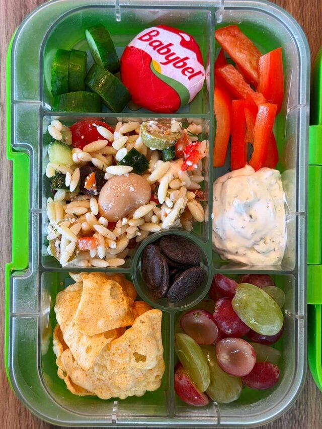 A compartment lunchbox containing orzo salad, cheese, crisps and grapes.