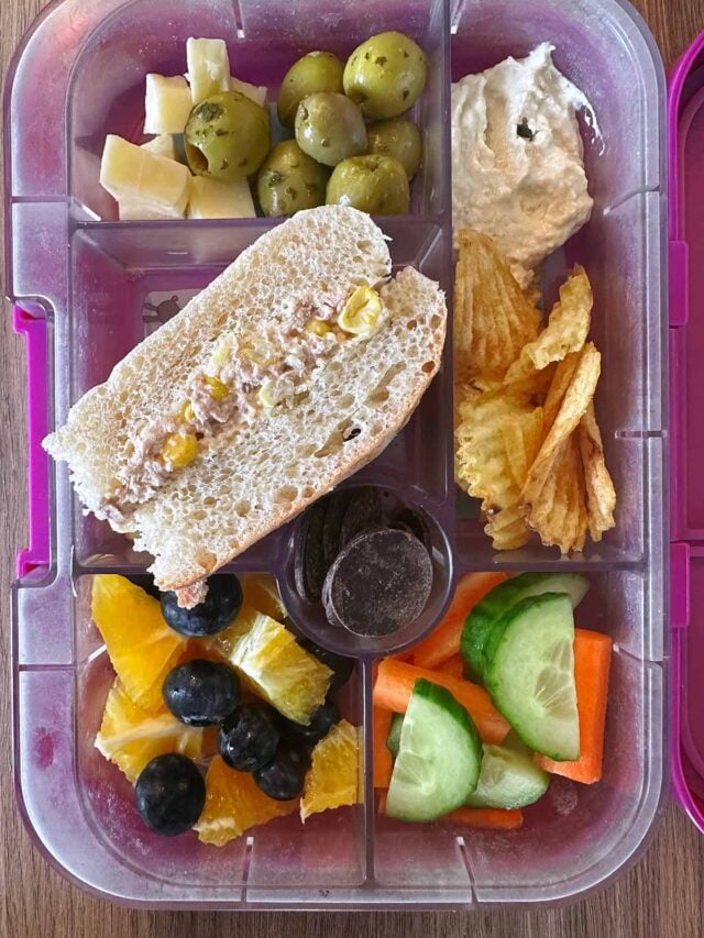 A compartment lunchbox containing a sandwich, crisps, hummus, fruit and veg.
