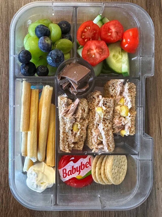 A compartment lunchbox containing a sandwich, cheese, berries, veg, breadsticks and hummus.