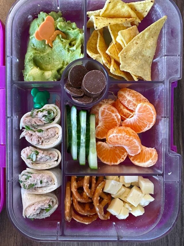 A compartment lunchbox containing a wrap, guacamole, tortilla chips, orange segments, cheese, pretzels and chocolate.