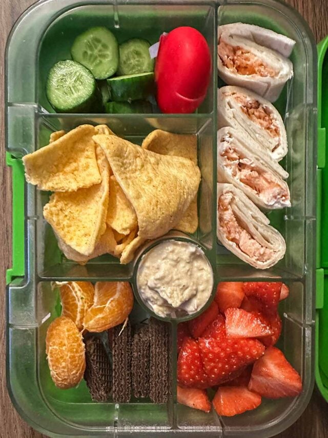 A compartment lunchbox containing wraps, crisps, hummus and fruit.