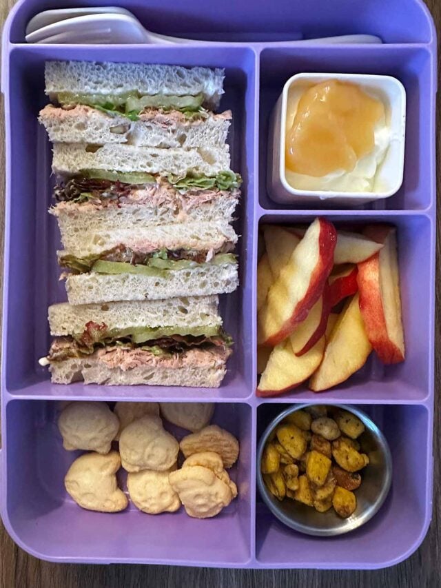 A compartment lunchbox containing a tuna sandwich, corn, apple slices, yogurt and mini biscuits.