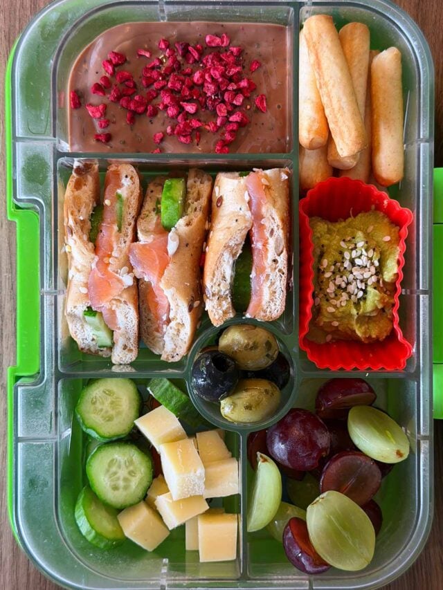 A compartment lunchbox containing a bagel, cucumber, cheese, grapes, guacamole, breadsticks and chocolate pudding.
