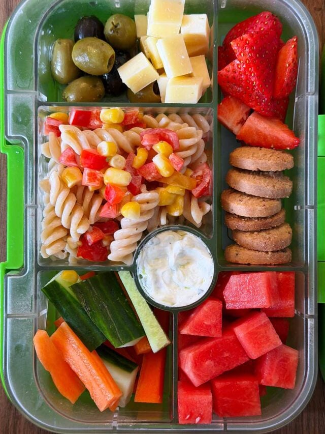 A compartment lunchbox containing pasta salad, fruit, veg, cheese and mini cookies.