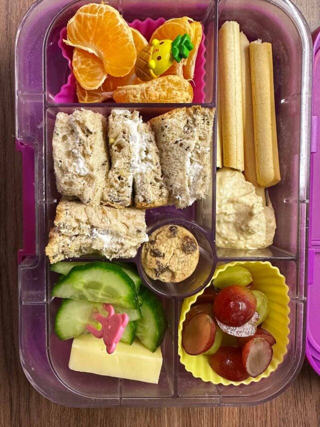 A compartment lunchbox containing a cream cheese sandwich, fruit, veg, breadsticks, hummus, grapes and mini cookies.