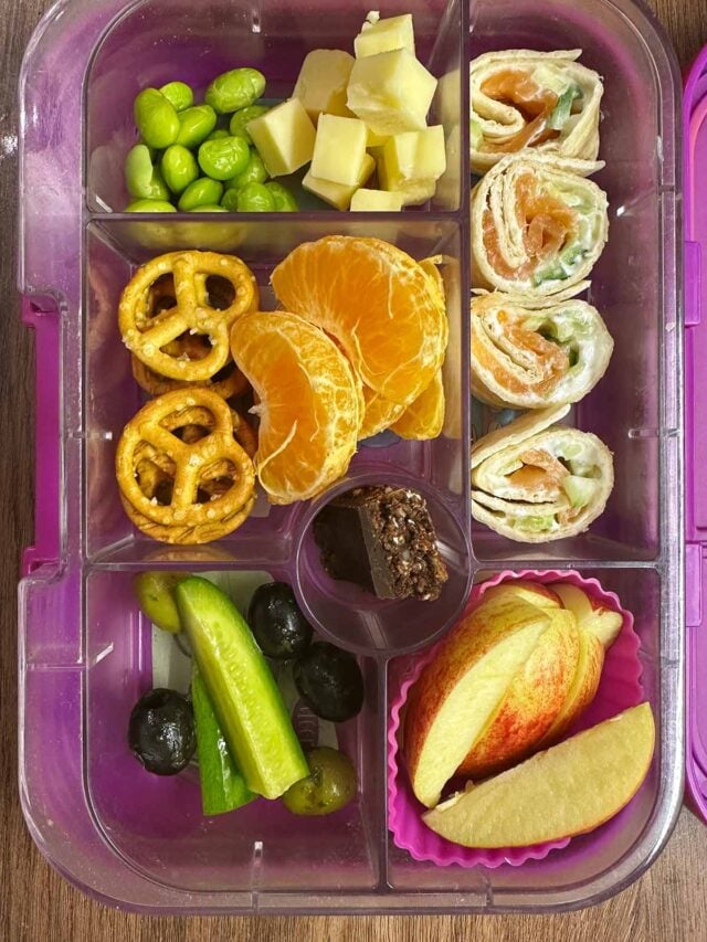 A compartment lunchbox containing salmon wrap, fruit, veg, cheese, edamame, pretzels and chocolate seed bar.