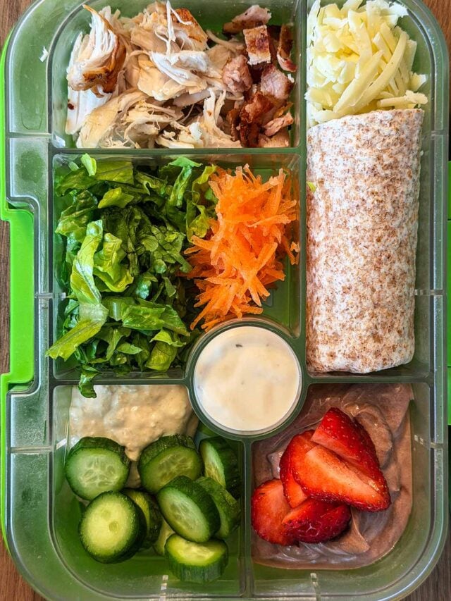 A compartment lunchbox containing a wrap, lettuce, grated carrot, shredded chicken, grated cheese, Caesar sauce, cucumber slices, hummus and fruit topped chocolate pudding.
