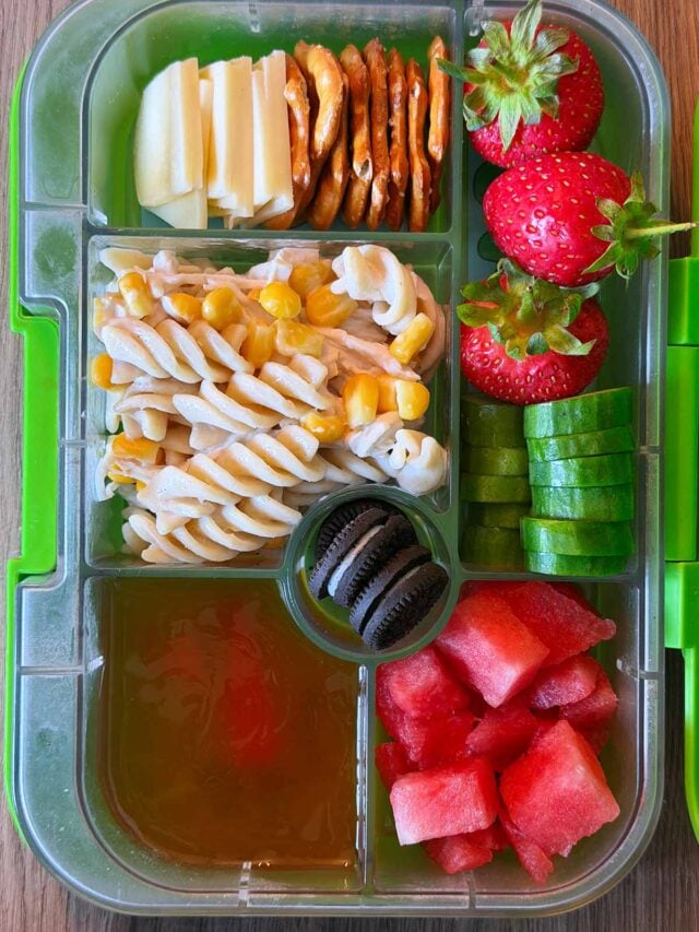 A compartment lunchbox containing pasta salad, cheese and crackers, fruit, veg, jelly and mini oreos.